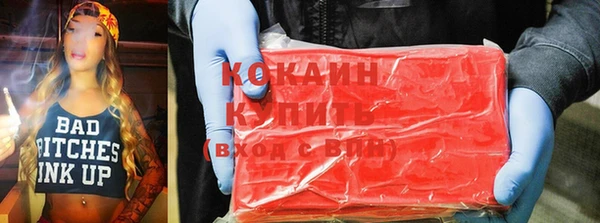 прущие грибы Балабаново