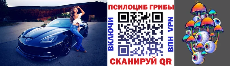 omg как войти  Михайловск  Псилоцибиновые грибы Magic Shrooms 